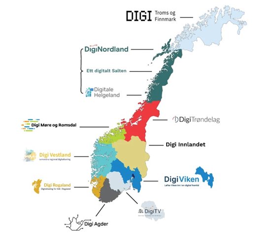 diginettverkene